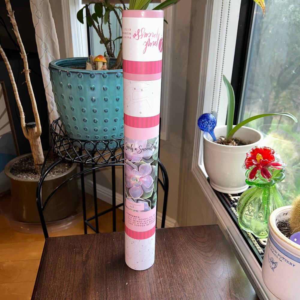 New Sensitive Succulents paint by number kit from Pink Picasso